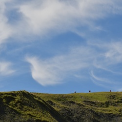 2019-08 Savoie/Aiguilles d'Arves/DSC_1448.JPG